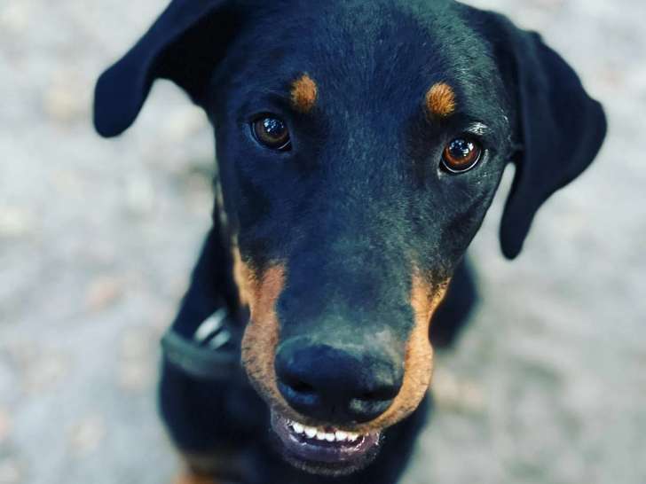 Les copains d’abord