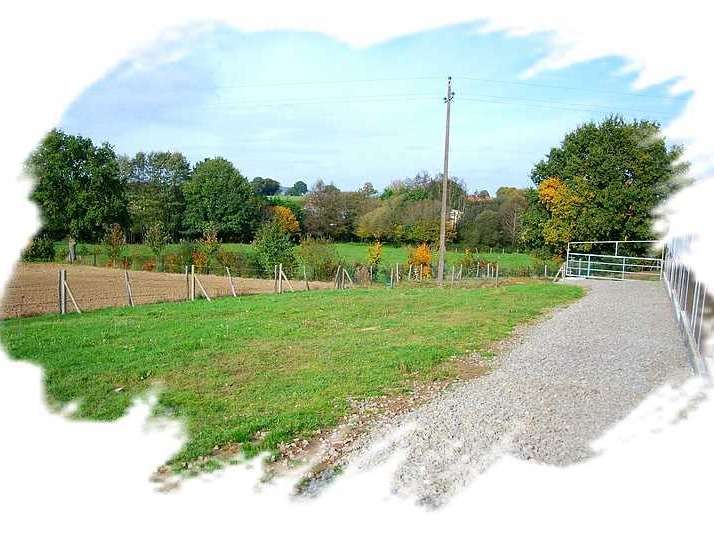 De la petite vallée des chiens