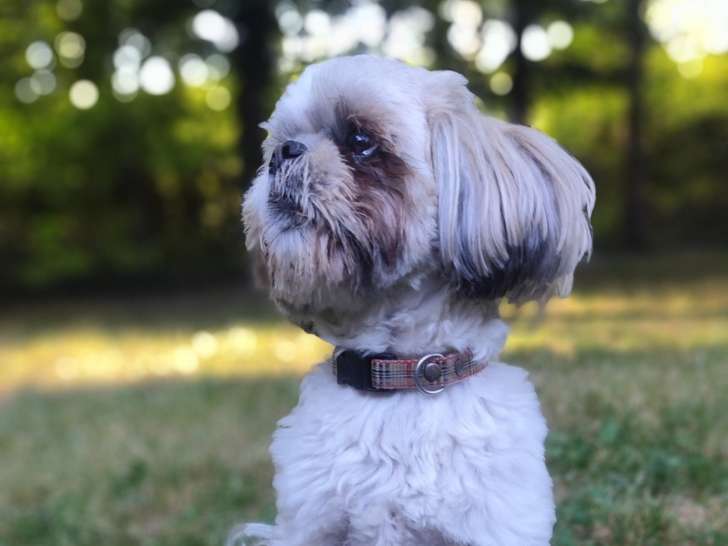 Le Jardin de Behemiel