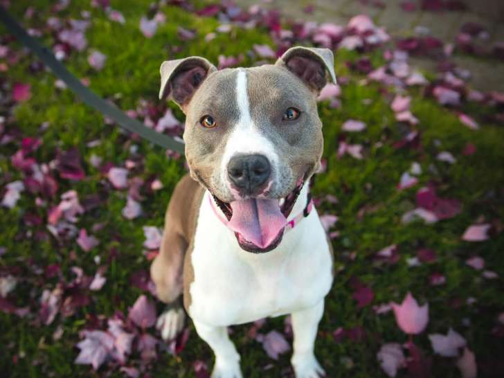 Au Bonheur d'Olyssko