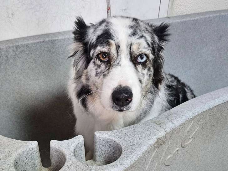 Au Bonheur d'Olyssko