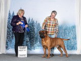 Bullmastiff Fanciers of Canada