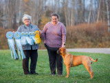 Bullmastiff Fanciers of Canada