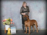 Bullmastiff Fanciers of Canada