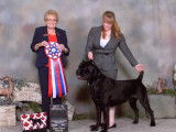 Canadian Cane Corso Association