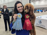 Poodle Club of Canada