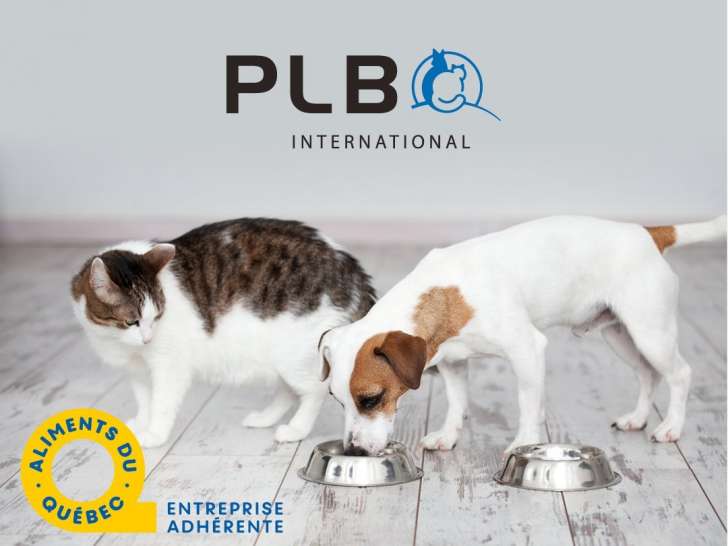 PLB International