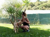 Ô chien paisible