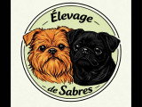 De Sabres