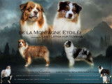 De La Montagne Étoilée