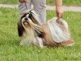 De Fu Xing