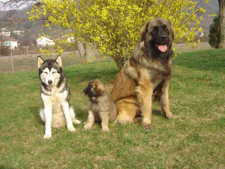 De l'Amour de Grâce