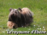 Le Royaume D'Ébène