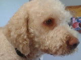 Toilet'M'Whoua