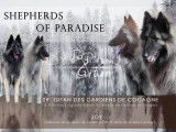 Shepherds Of Paradise