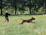 Au Domaine de Gévaudan