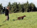 Au Domaine de Gévaudan