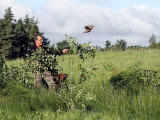 Au Domaine de Gévaudan