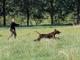 Au Domaine de Gévaudan