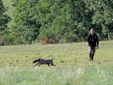 Au Domaine de Gévaudan