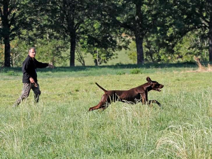 Au Domaine de Gévaudan