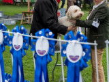 Lagotto Club Suisse (LCS)
