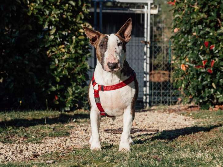 La Pignada des Poilus