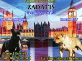 Zadatis