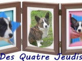 Des Quatre Jeudis