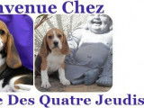Des Quatre Jeudis