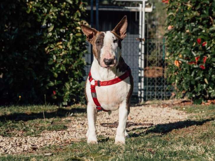 La Pignada des Poilus