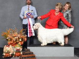 Clumber Spaniel Club of Canada