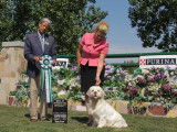 Clumber Spaniel Club of Canada