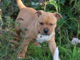 Domaine des collines blanches