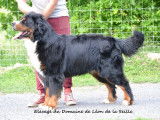 Du Domaine de Léon de la Seille