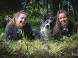 Services animaliers