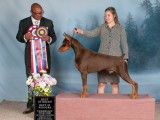 Doberman Pinscher Club of Canada