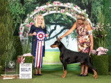Doberman Pinscher Club of Canada