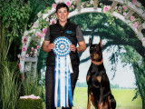 Doberman Pinscher Club of Canada