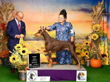 Doberman Pinscher Club of Canada