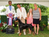 Doberman Pinscher Club of Canada