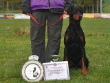 Dobermann Club de France