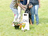Dobermann Club de France