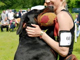 Dobermann Club de France