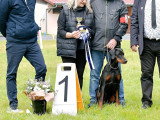 Dobermann Club de France