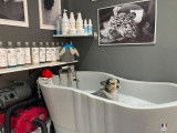 Barber Toilettage