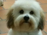 U Can U Gatu