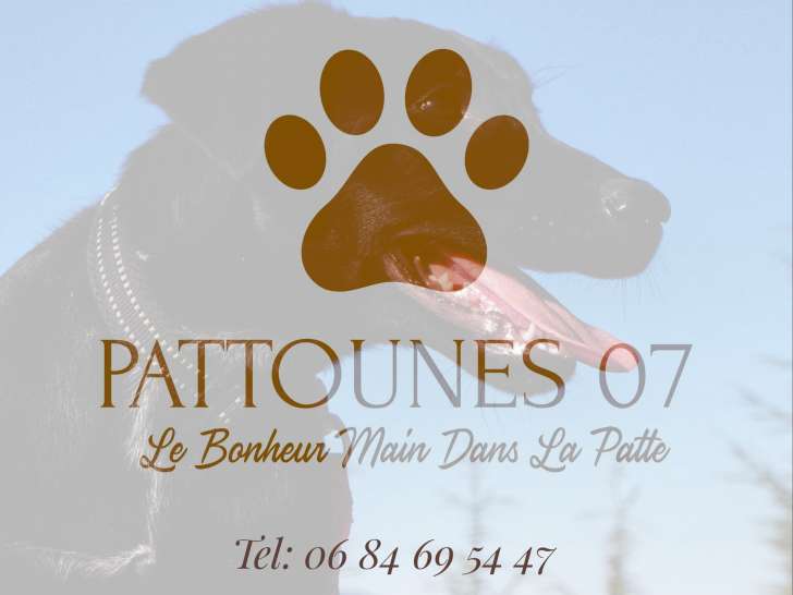 Pattounes 07