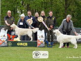Golden Retriever Club Belgium (G.R.C.B.)