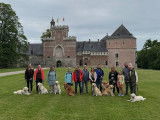 Golden Retriever Club Belgium (G.R.C.B.)